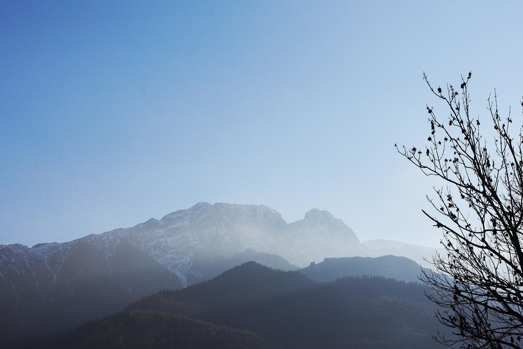 Siklawa Apartment Zakopane Cameră foto